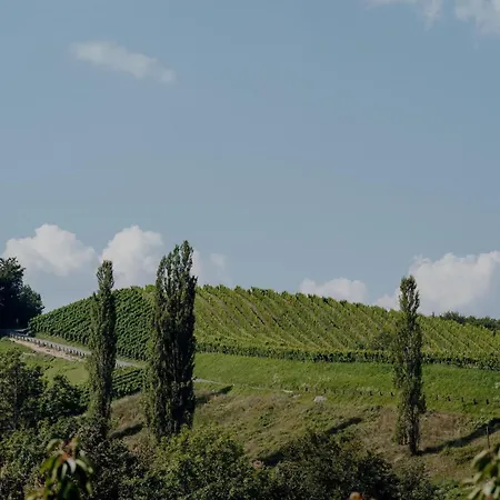 Weingut Juritsch * 루트스카치