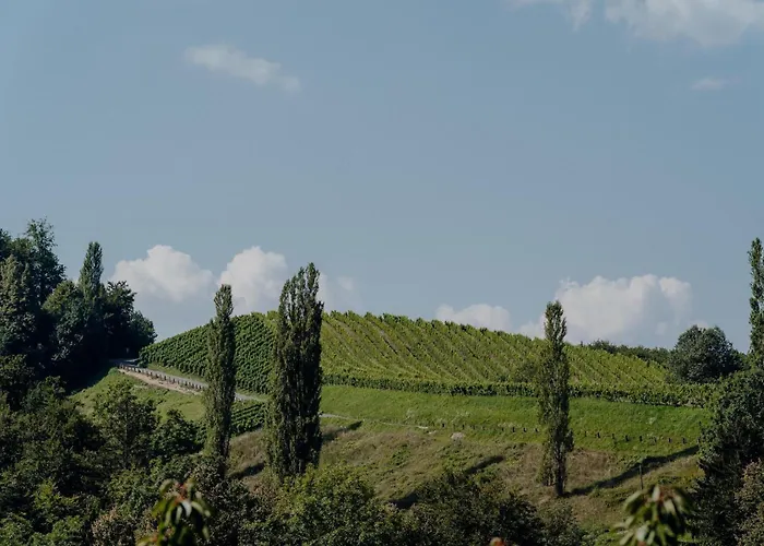Weingut Juritsch * Leutschach